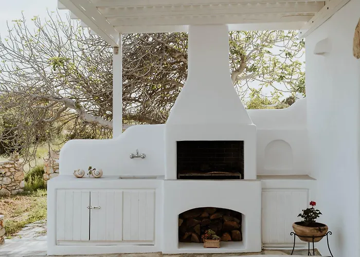 Cycladic Wine Press House Holiday home *